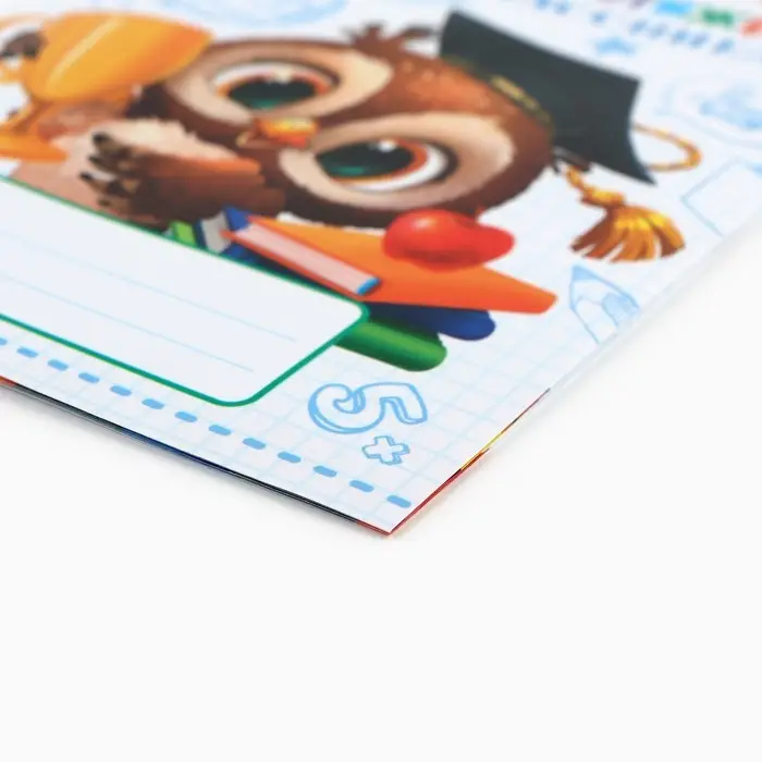 Дневник школьный для первоклассника, сова, 16 страниц,14,8 х 21 см