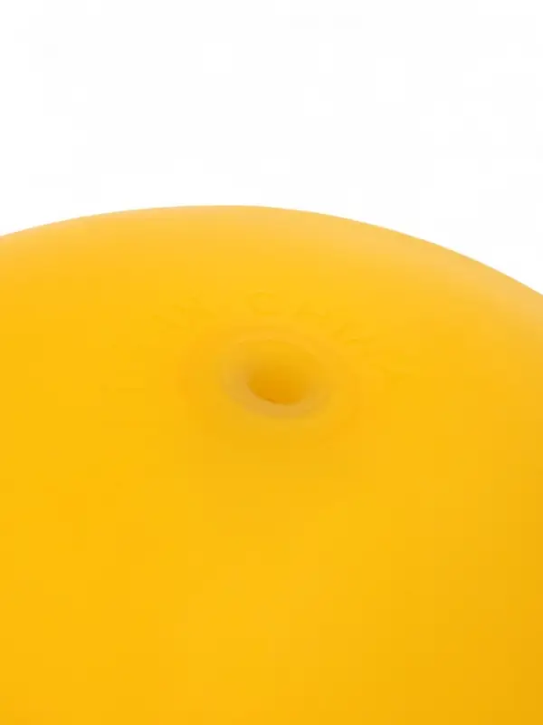 Мяч детский «Пёсик», d=22 см, МИКС Мяч детский «Пёсик», d=22 см, МИКС