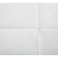 Салфетки бумажные Luscan Professional N2 1сл200л48 пач/уп