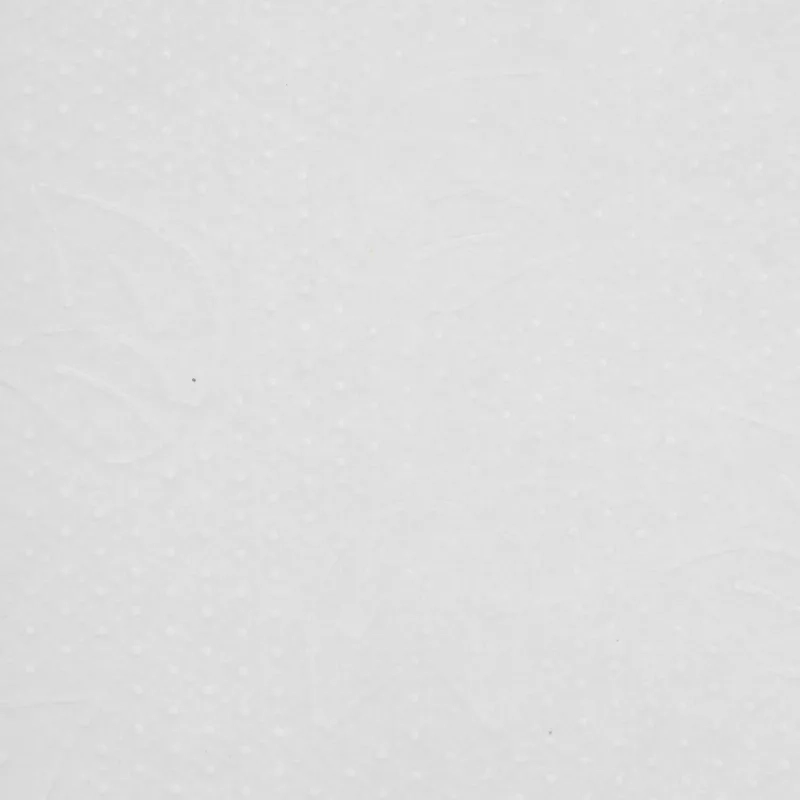 Бумага протирочная Protissue 1000л/рул 350м С241 2рул/уп