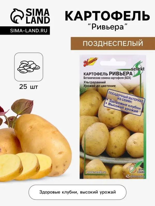 Семена Картофель &laquo;Ривьера&raquo;, 25 шт., &laquo;Дом семян&raquo;