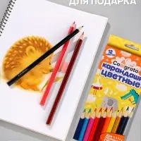 Карандаши Calligrata цветные, 12 цветов, деревянные, трёхгранные, в картонной коробке