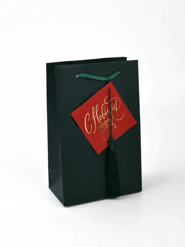 Пакет подарочный «Новогодний сюрприз», с заколками, 18 × 23 × 11 см