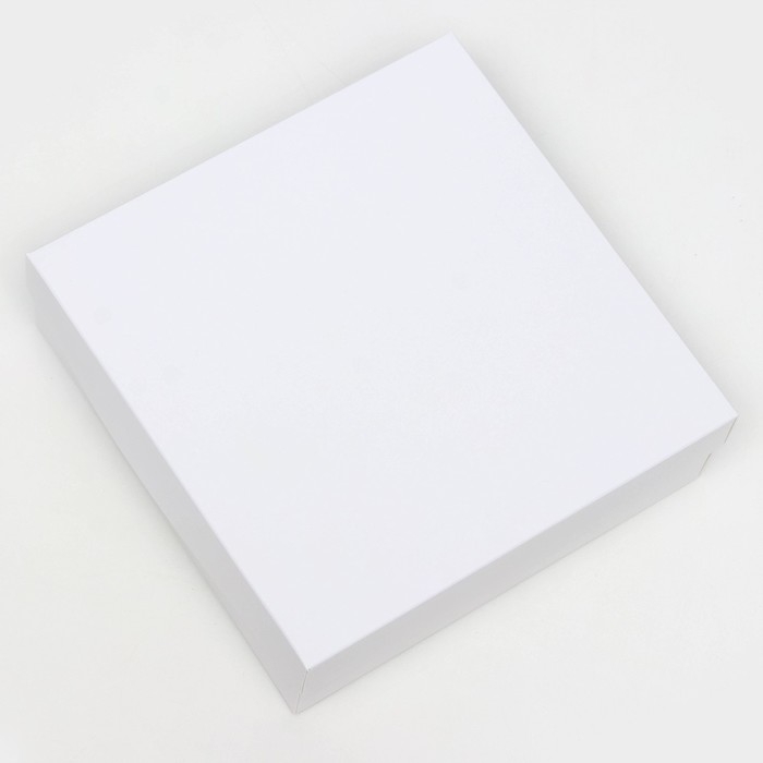 Коробка подарочная складная, упаковка, крышка-дно, белая, 20 х 20 х 6 см Коробка подарочная складная, упаковка, крышка-дно, белая, 20 х 20 х 6 см