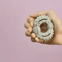 VETTA Игрушка для домашних животных, ТПР, 7,5 см