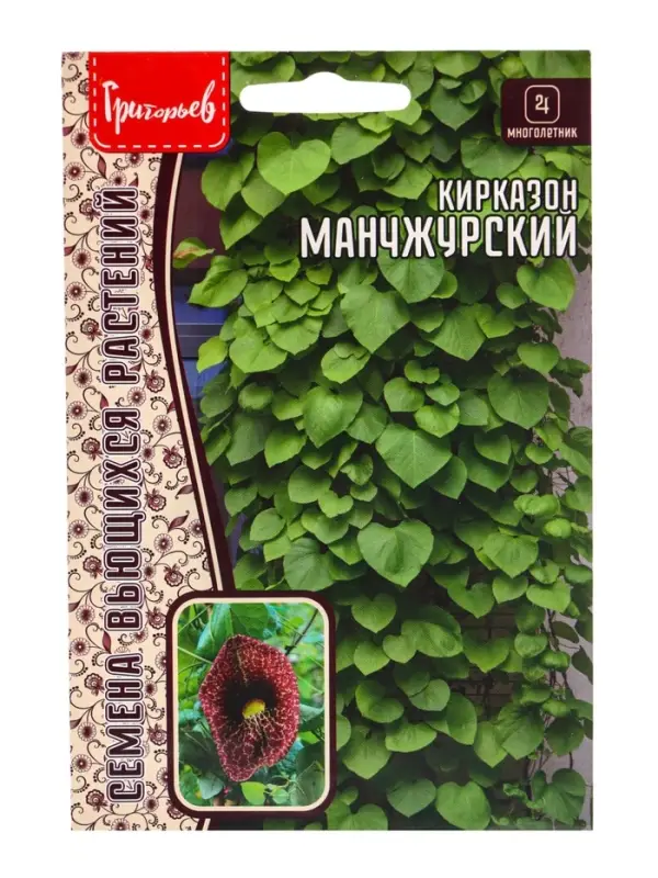 Семена цветов Кирказон Манчжурский  20шт. 12.29 г.