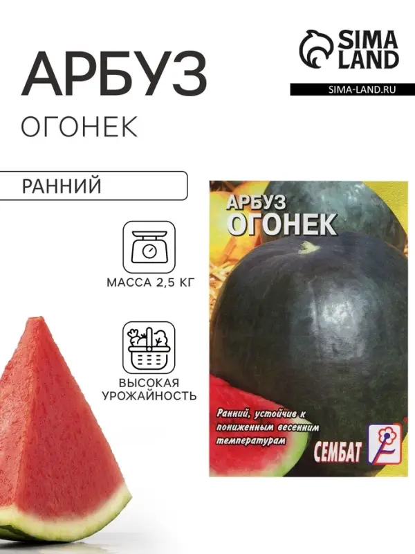 Семена Арбуз &laquo;Огонек&raquo;, 1 г, &laquo;Сембат&raquo;