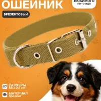 Брезентовый ошейник, 58&times;2.5 см, однослойный, цвет песочный
