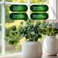 Спрей для комнатных растений Greenlife &laquo;Органический Эликсир&raquo;, 500 мл