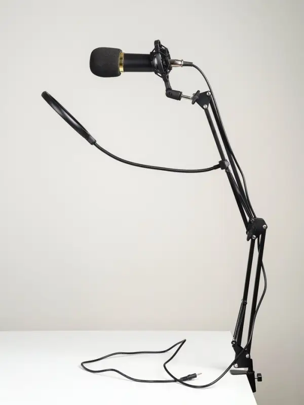 Микрофон конденсаторный Music Life золотой: кабель, ветрозащита, стойка