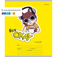 Тетрадь КЛЕТКА 18л. ВСЁ ОКЕЙ цвет.мелов.обл.,5 дизайнов в спайке 18-5590