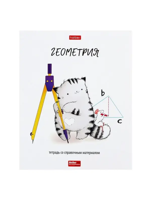 Предметная тетрадь по геометрии Hatber &laquo;Приключения кота Пирожка&raquo;, 48 листов, в клетку, со справочным материалом, обложка из мелованной бумаги