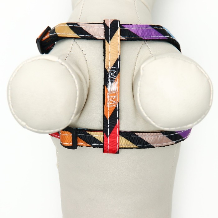 Комплект амуниции двухслойный, S, поводок 120х1 см,ОШ 24-38 ОГ 29-41 см, разноцветные полосы 96837 Комплект амуниции двухслойный, S, поводок 120х1 см,ОШ 24-38 ОГ 29-41 см, разноцветные полосы 96837