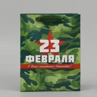 Набор подарочных ламинированных пакетов &laquo;Звезда&raquo;, 10 шт, 18 &times; 23 &times; 10 см