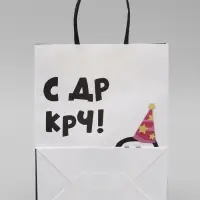 Пакет крафт с приколами &laquo;С ДР КРЧ&raquo;, 21&times;11&times;27 см