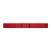 Чехол для беговых лыж школьный 210см, красный