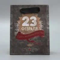 Пакет подарочный крафтовый, упаковка, «С 23 февраля», 12 х 15 х 5.5 см