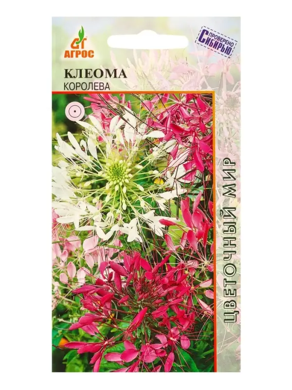 Семена Клеома колючая Семена Клеома колючая "Королева" 0,2 г