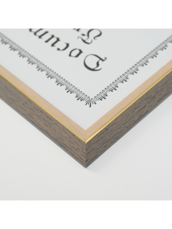 Фоторамка пластик формат А4 "Бело-серая" с золотой полосой 1,5х23,6х32,3 см