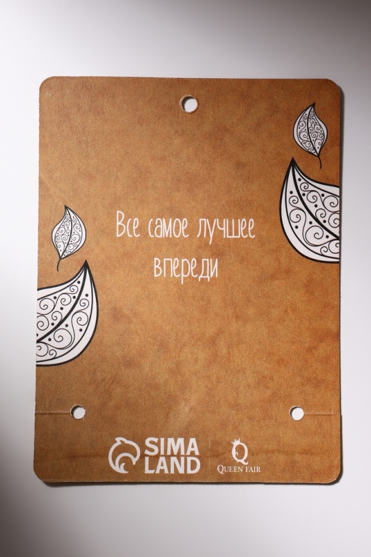 Браслет ассорти «Антистресс» лев, цвет красный в золоте, d=6 см