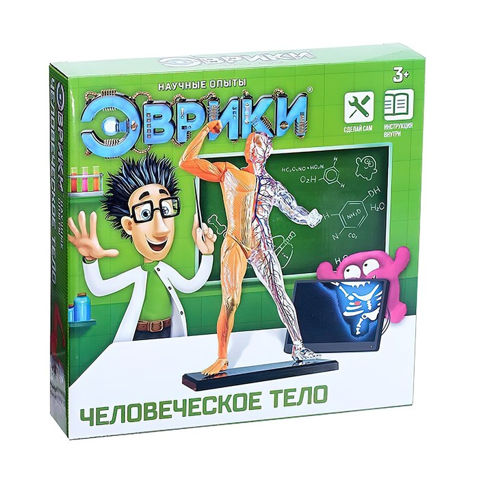 Научный опыт «Человеческое тело» Научный опыт «Человеческое тело»