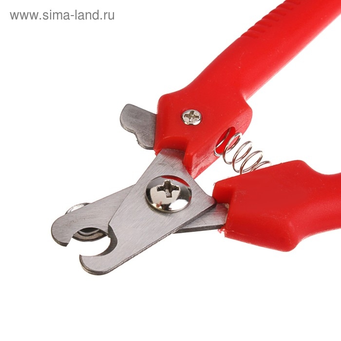 Когтерез боковой малый с прямыми ручками, 12 х 4 х 1 см, эконом, микс цветов Когтерез боковой малый с прямыми ручками, 12 х 4 х 1 см, эконом, микс цветов