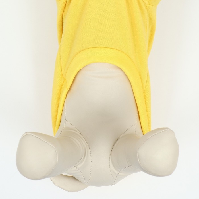 Толстовка "Бананза!", размер XL (ДС 40, ОГ 56 см)