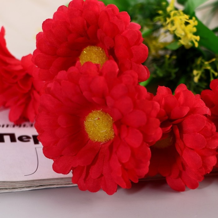 Букет Букет "Цинния открытая" 6х34 см, микс