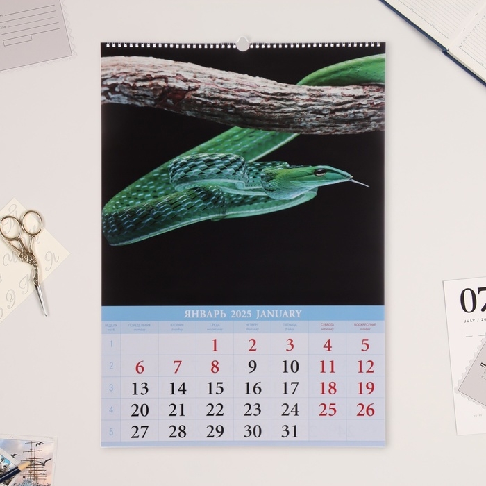 Календарь перекидной на ригеле А3 Календарь перекидной на ригеле А3 "Символ Года" 2025, 42 х 60 см