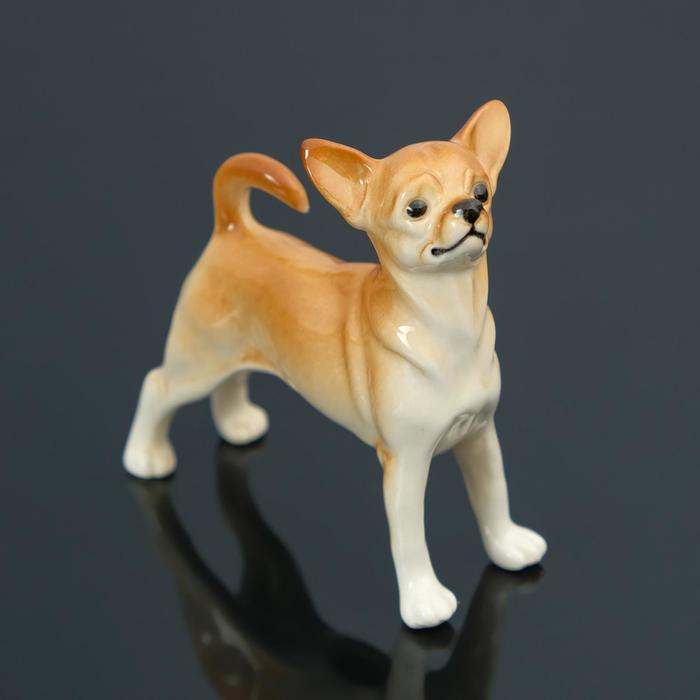 Сувенир Сувенир "Чихуахуа", ручная работа, фарфор