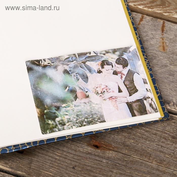 Фотоальбом магнитный 20 листов Фотоальбом магнитный 20 листов "Питон с золотыми трещинками" МИКС 29х24,5х2 см