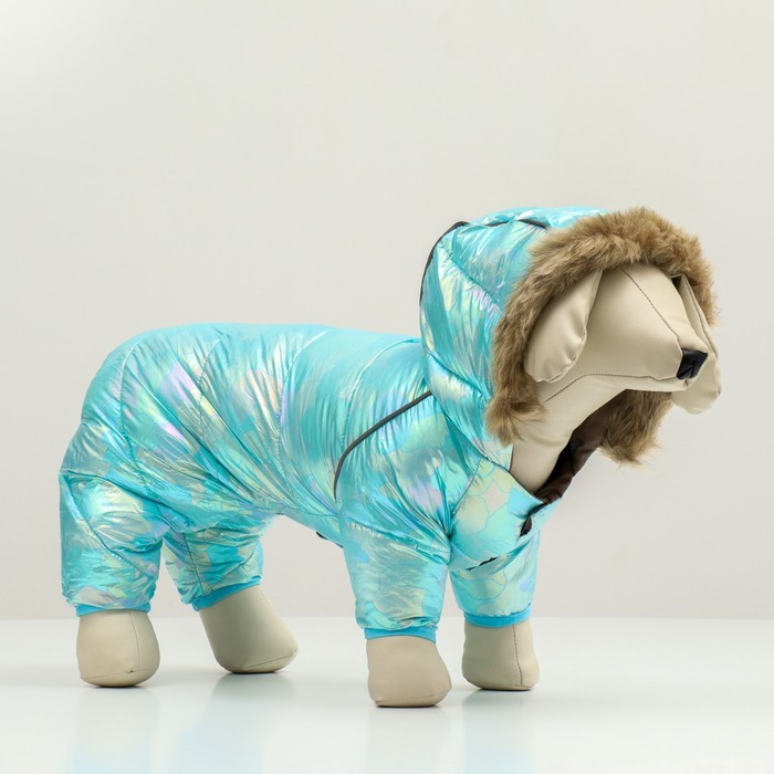 Комбинезон Комбинезон "Глянец", размер 8 (ДС 23, ОГ 30, ОГ 22), голубой