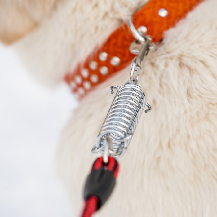 Поводок усиленный с амортизатором от рывка, 120 х 1,2 см, чёрно-красный Поводок усиленный с амортизатором от рывка, 120 х 1,2 см, чёрно-красный