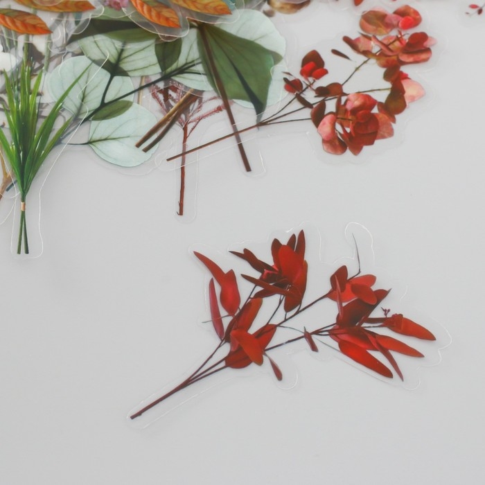 Наклейки для творчества пластик PVC Наклейки для творчества пластик PVC "По лесным тропам" набор 40 шт 9х10.5 см