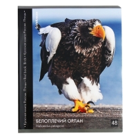 Тетрадь 48 листов в клетку, ErichKrause "Красная книга России. Птицы", обложка мелованный картон, глянцевая ламинация, блок офсет 100% белизна, МИКС