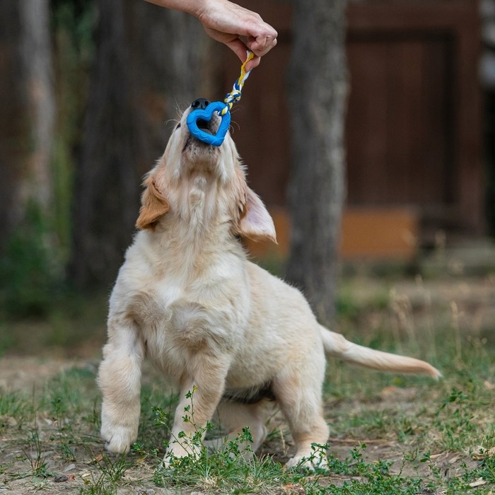 Игрушка Игрушка "Сердечко с канатом", 7 см, голубое