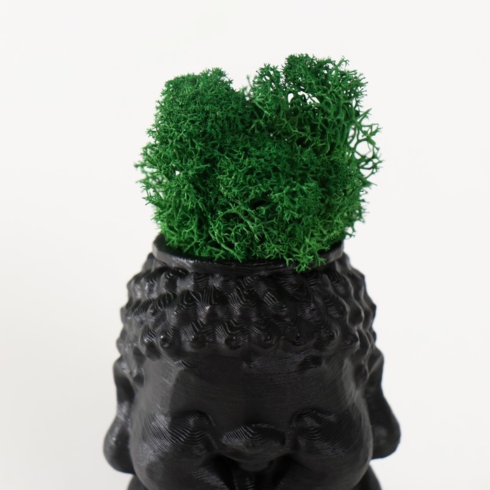 Кашпо бетонное Кашпо бетонное "Будда" 5,5х6,5х7см черный матовый со мхом (мох зеленый стабилизированный)
