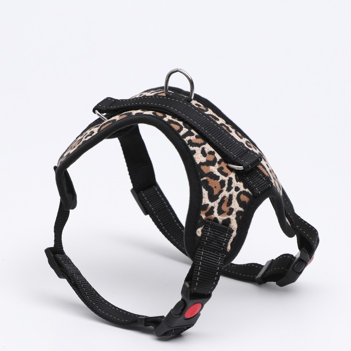Шлейка К7 мягкая светоотражающая, размер L, ОГ 64-86 см, вес 18- 27,5 кг, леопард Шлейка К7 мягкая светоотражающая, размер L, ОГ 64-86 см, вес 18- 27,5 кг, леопард