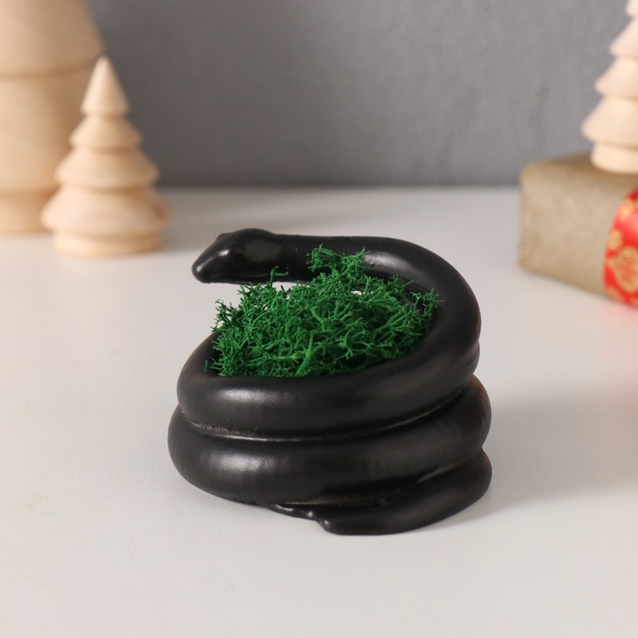 Сувенир мини  Сувенир мини "Змея" крученая со мхом  4*7*4 см черная (мох зелен стабил)