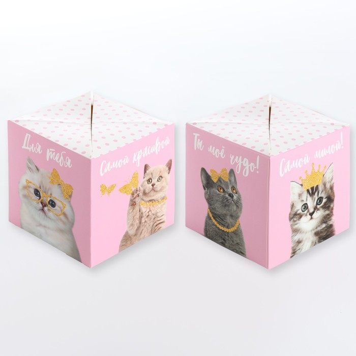 Бум-открытка «Твой подарочек», шары , 12 х 18.5 см Бум-открытка «Твой подарочек», шары , 12 х 18.5 см