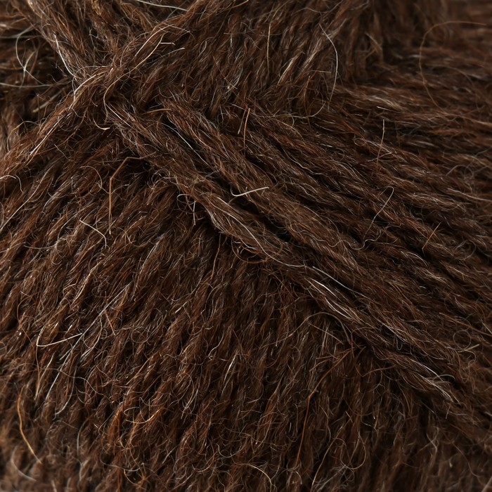 Пряжа Пряжа "Верблюжья шерсть" 50% вербл. шерсть,50% овечья шерсть 200м/100гр (251-Коричневый)