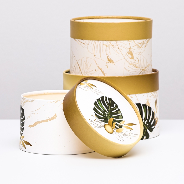 Набор шляпных коробок 3 в 1 "Тропики" , завальцованная, 16 х 10, 14 х 9, 13 х 8,5 см