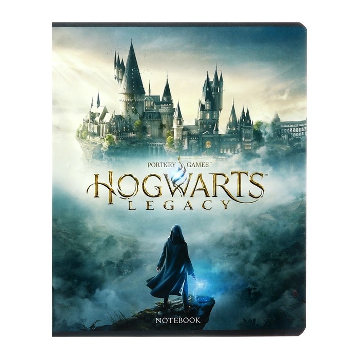 Тетрадь 48 листов клетка  Тетрадь 48 листов клетка "-Hogwarts Legacy-Гарри Поттер", обложка мелованный картон, скругленные углы, блок 65 г/м2, 5В МИКС