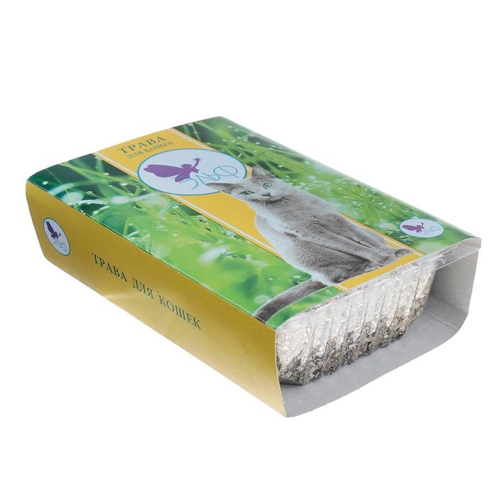 Травка  Травка "Эльф" для кошек, большой контейнер