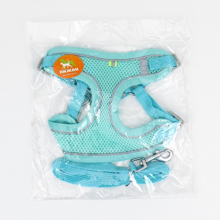 Комплект с мягкой шлейкой, быстросъемный, L, поводок 140 см, ОШ 49-56 см, ОГ 56-68 см, бирюзовый Комплект с мягкой шлейкой, быстросъемный, L, поводок 140 см, ОШ 49-56 см, ОГ 56-68 см, бирюзовый