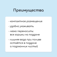 Набор для рассады: стаканы по 250 мл (18 шт.), поддон 40 × 20 см, цвет МИКС, Greengo