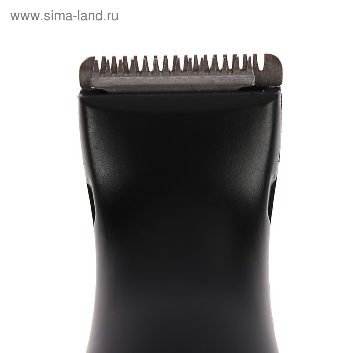 Триммер Sakura SA-5520BL, универсальный, 2 насадки Триммер Sakura SA-5520BL, универсальный, 2 насадки