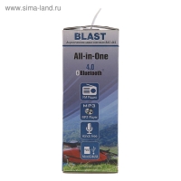 Портативная колонка Blast BAS-461, BT, 10 Вт, microSD, FM, микрофон, 1200 мАч, черная