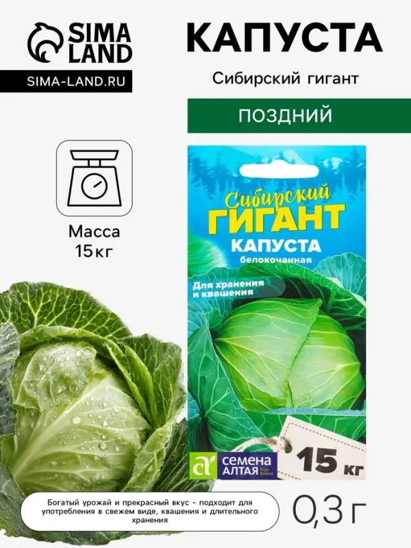 Семена Капуста белокочанная &laquo;Сибирский Гигант&raquo;, 0.3 г, &laquo;Семена Алтая&raquo;