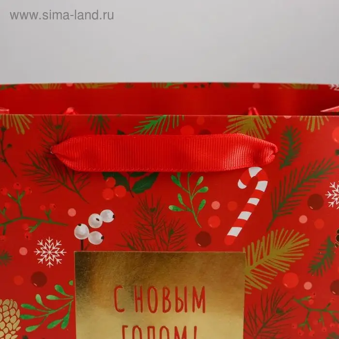 Пакет подарочный новогодний ламинированный «Время волшебства», MS 23 х 18 х 10 см